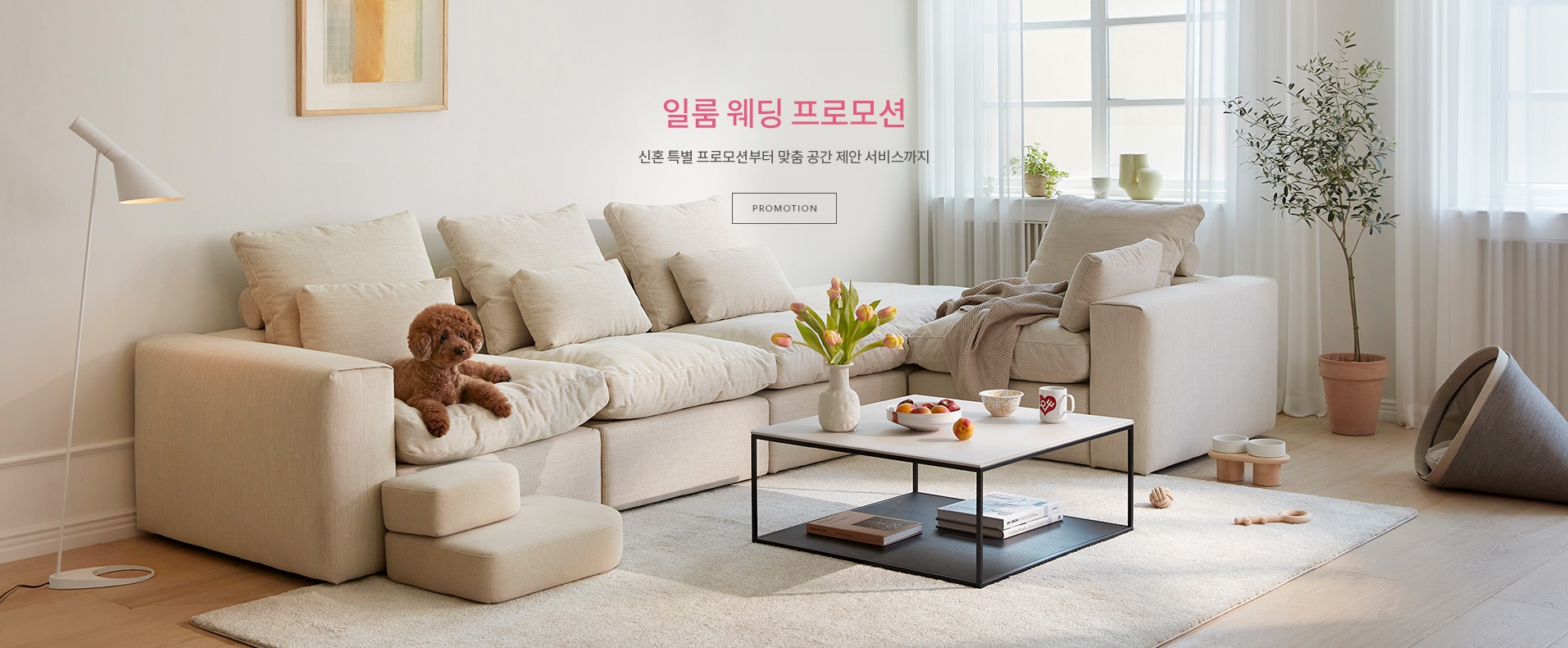 프로모션 이미지